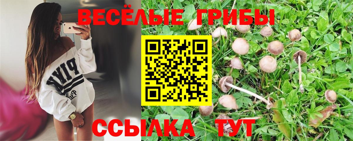 Качканар  Галлюциногенные грибы Psilocybine cubensis  Вход с VPN 