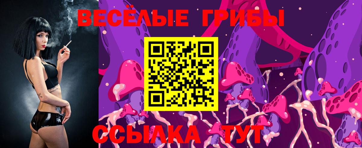 Псилоцибиновые грибы MAGIC MUSHROOMS Качканар